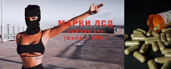 шишки Аркадак