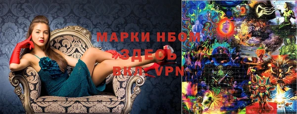 шишки Аркадак