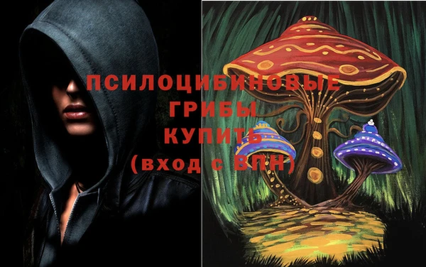гидропоника Арсеньев