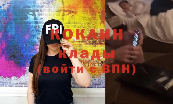 шишки Аркадак